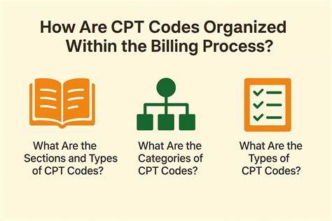 Image result for What Are CPT Codes