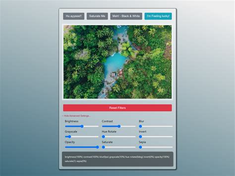 Toradh íomhá ar CSS Filter Images Download