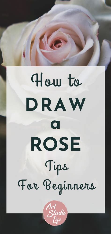 Draw a Rose Tutorial に対する画像結果