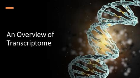 Image result for Genome vs Transcriptome