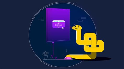 Image result for Rapid Programming in Python