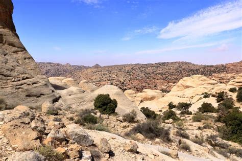 Biosphere Nature에 대한 이미지 결과
