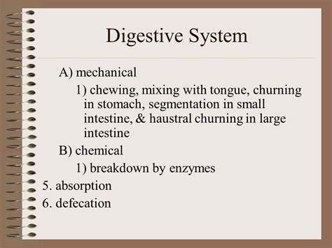 Toradh íomhá ar Segmentation Digestive System