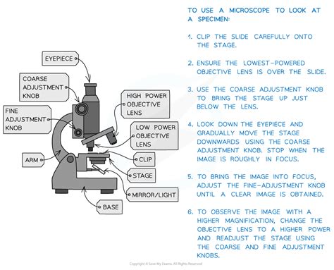 Image result for Microscope How to Use Step by Step