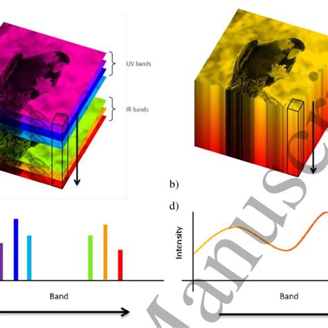 Multispectral Image に対する画像結果