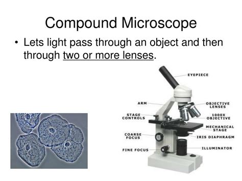 Image result for Features of a Compound Microscope