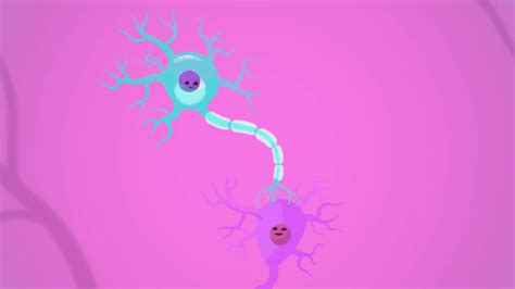 Afbeeldingsresultaten voor Crash Course Neurons