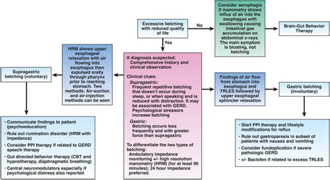 Bloating and Belching ਲਈ ਪ੍ਰਤੀਬਿੰਬ ਨਤੀਜਾ