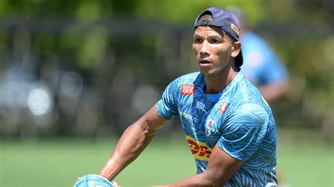 Image result for Manie Libbok Springbok