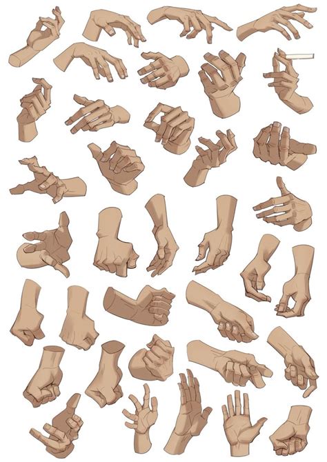 Image result for Hand and Arm Drawing Reference