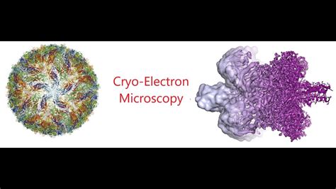 Image result for Microscope Protein Particle