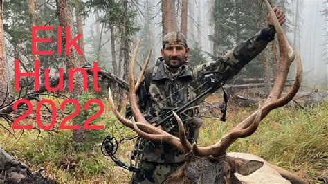 Image result for Elk Hunting 2022