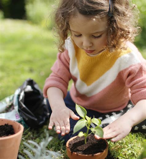 Image result for What Is Spring for Kids