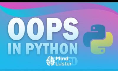 Image result for Visual of Oo in Python