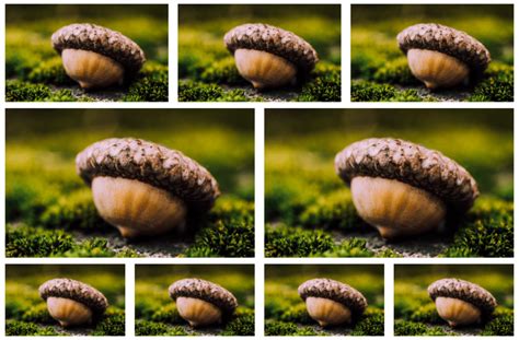 Image result for Bootstrap 5 Image