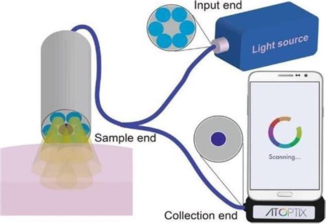 Image result for Diffuse Reflectance Spectroscopy Diagram