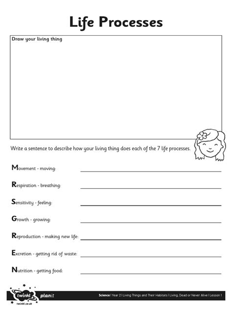 Importance of Life Processes Worksheet എന്നതിനുള്ള ഇമേജ് ഫലം