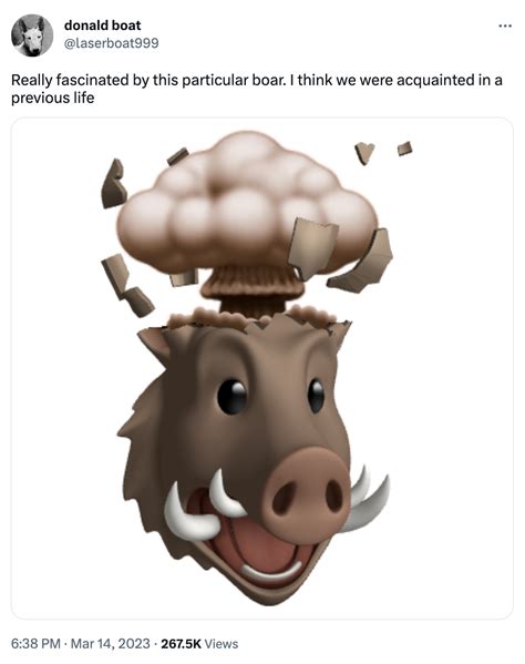 Toradh íomhá ar File Head Meme