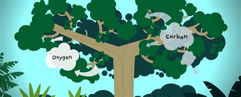 Afbeeldingsresultaten voor Climate Change Issues