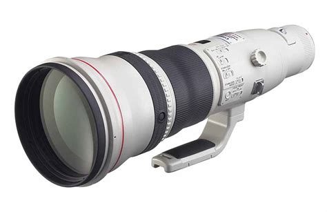 Toradh íomhá ar Best Lens for Bird Photography