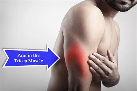 Strained Tricep に対する画像結果