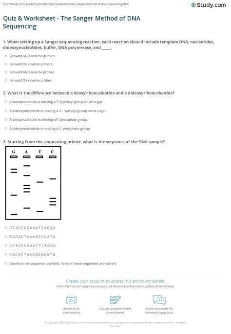 DNA Sequencing Sanger Method に対する画像結果