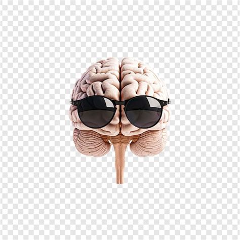 Image result for Brain Transparent Front