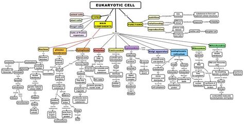 Class 12 Python Functions Concept Map에 대한 이미지 결과