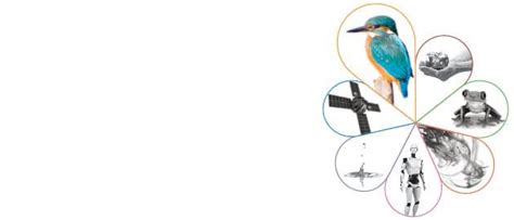 Image result for AQA Science Course Quide