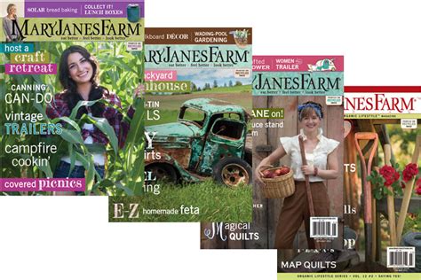 Image result for Back Issues Magazines Bundle