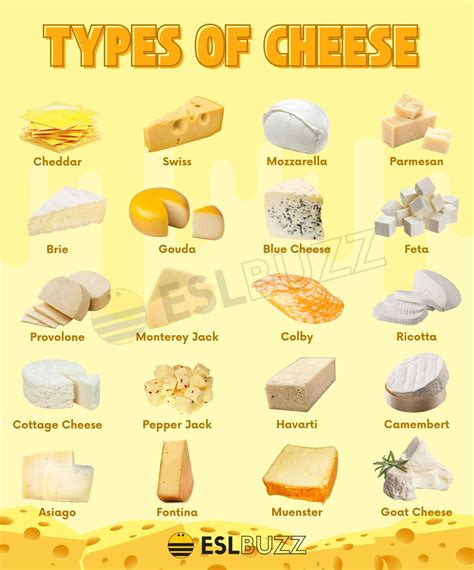 Types of Cheese: A Guide for Cheese Lovers