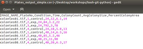 Toradh íomhá ar Python Adding Text