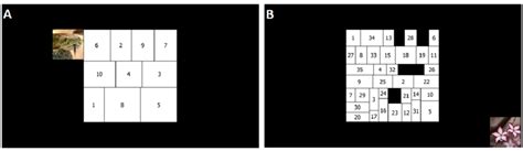 Interoception Visual Search Task に対する画像結果