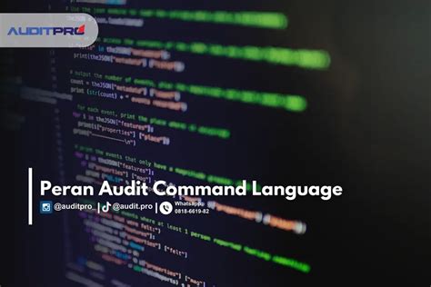 Image result for Auditing Command Language
