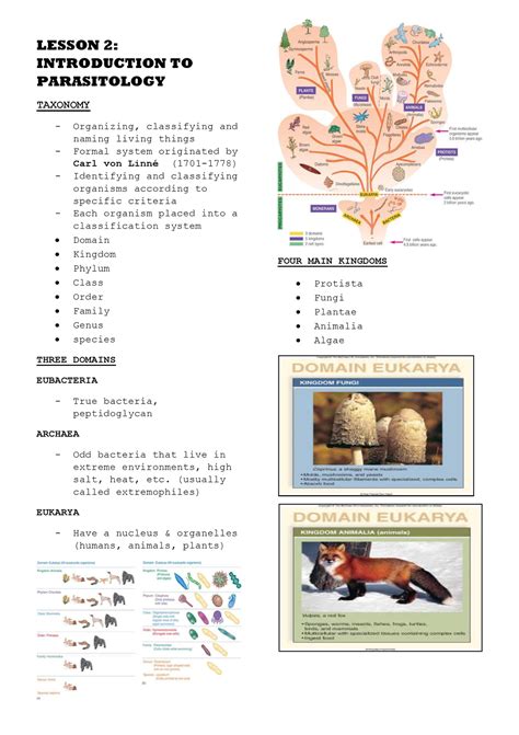 Parasitology Lesson に対する画像結果