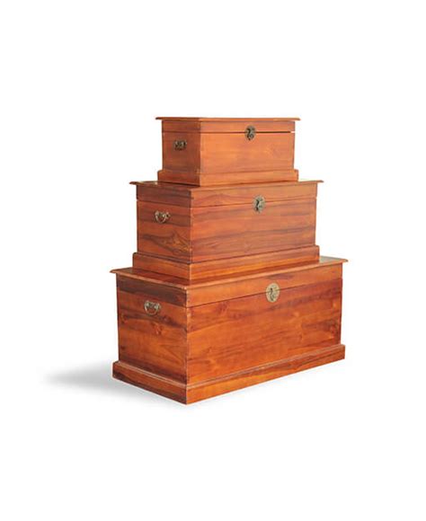 Treasure Chest Storage Trunk に対する画像結果