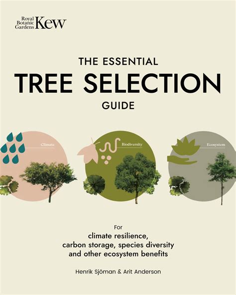 Image result for Tree Slection