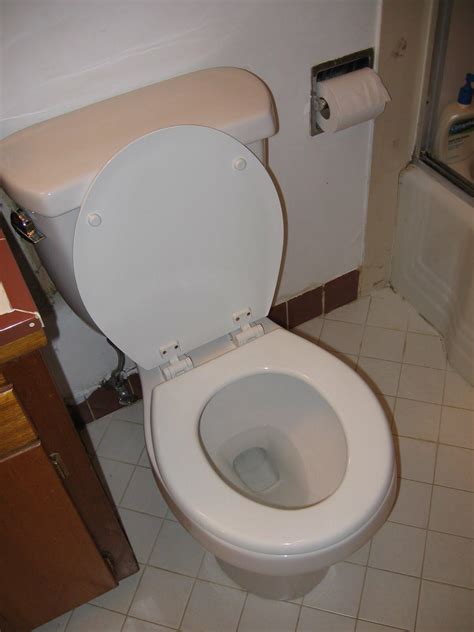 Image result for Toilet Kind
