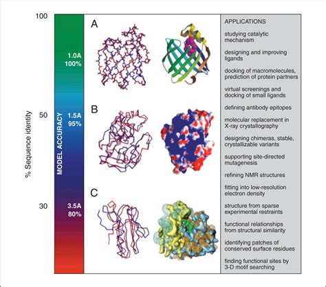Image result for Protein Structure Modeling