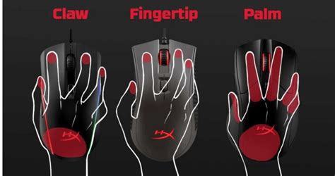 Image result for Mouse Hold Card