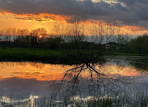 Image result for Statistical Modelling