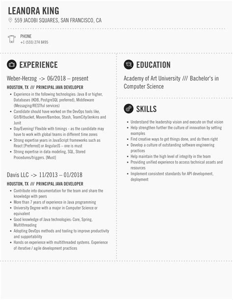 Afbeeldingsresultaten voor Principal Java Developer CV Example