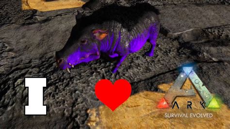 Image result for Ark Mutation Stacking