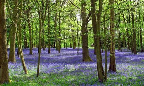 نتيجة الصورة لـ Pretty Spring Scenes