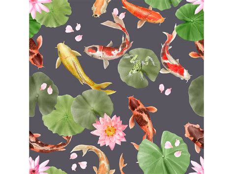 Image result for Koi Fish Color Patterns