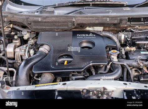 Toradh íomhá ar Bring the Search Engine to the Front