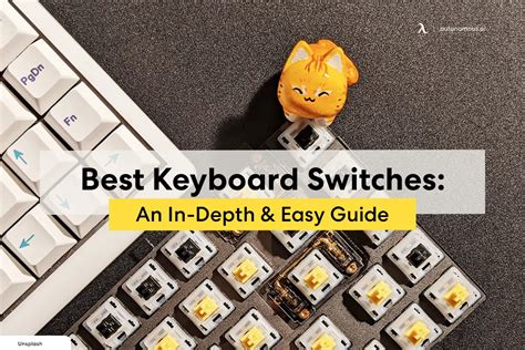 Image result for Types of Switches On Keyboard