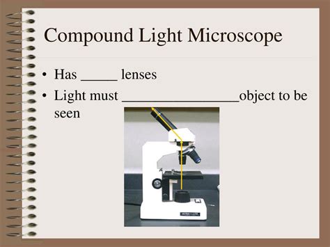 Image result for Compound Light Microscope