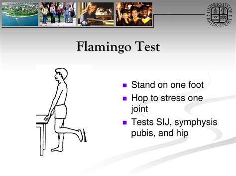 Norm Flamingo Balance Test に対する画像結果