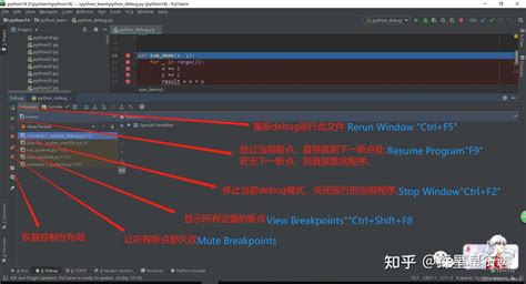 PyCharm Debug Array に対する画像結果